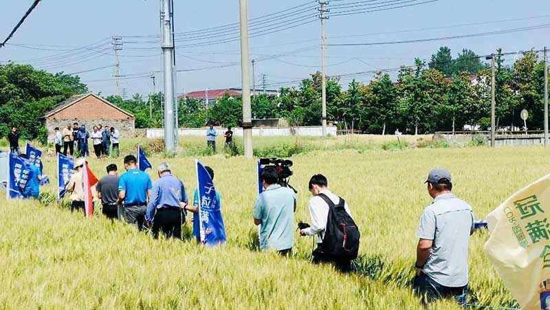 520健康植保日——擁抱綠色農(nóng)業(yè)，我們在行動