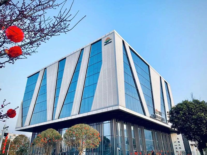 新突破！新朝陽新型脫葉劑獲巴西專利授權(quán)