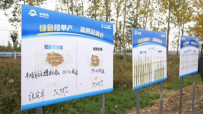 綠色提單產(chǎn)就用冠菌素 開辟糧食抗逆增產(chǎn)新路徑